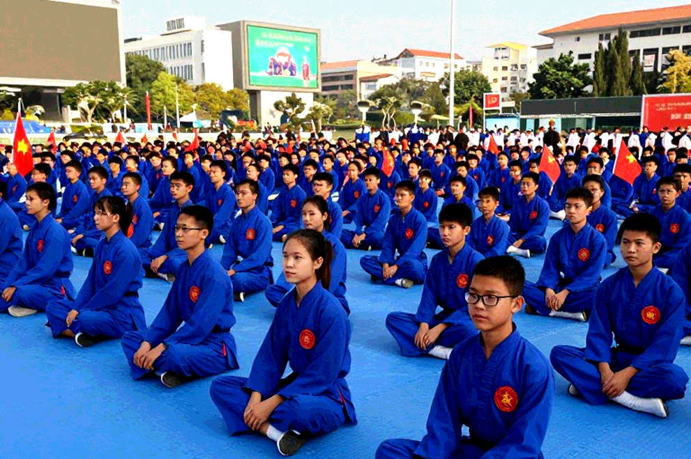 Phân Tích Chuyên Sâu Võ Thuật: Khi Dữ Liệu Đầu Vào Rỗng Và Hệ Quả Phân Tích