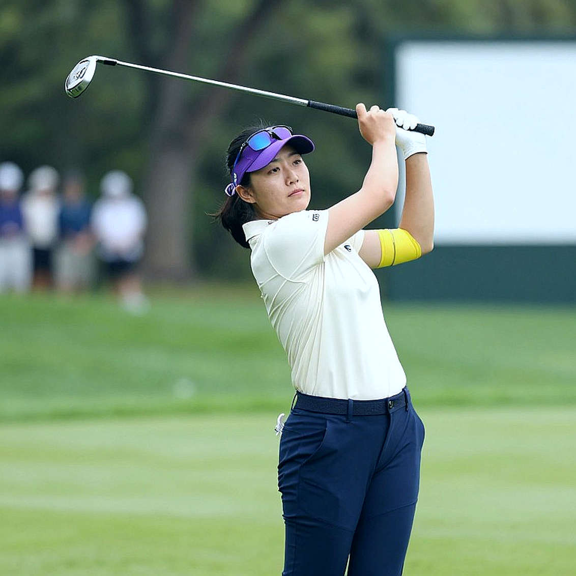 Bảng Số Trống Vẫn Biết Nói: Khi Dữ Liệu Golf Nhật Bản Cạn Kiệt