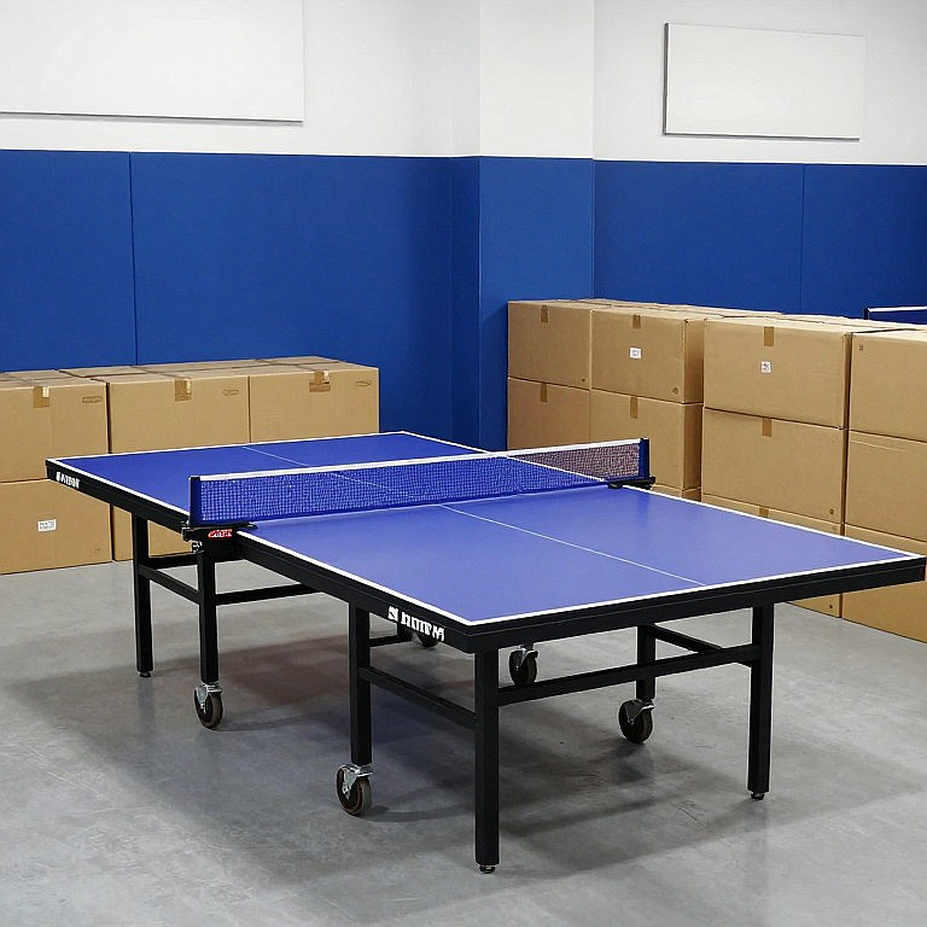 Tom Jarvis và Anna Hursey tham gia WTT Champions Macao với đối thủ khó khăn, chuẩn bị cho WTT China Smash với cặp đôi doubles ấn tượng